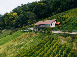 Ferienhaus Majcen