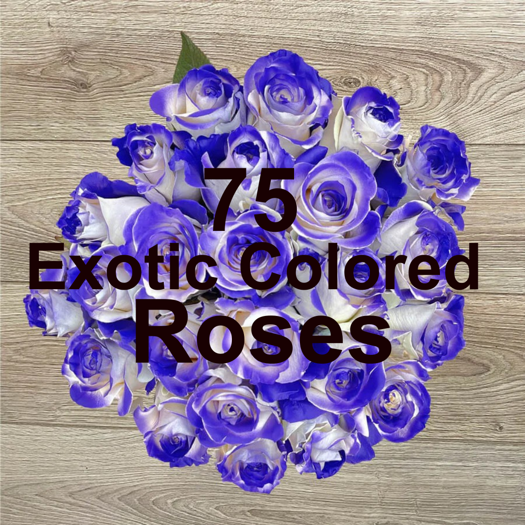 75 Exotic Colored Roses