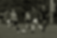 51303806754_f83fe63ea6_o.png