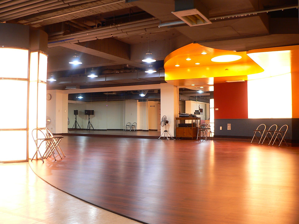 TX Large Studio