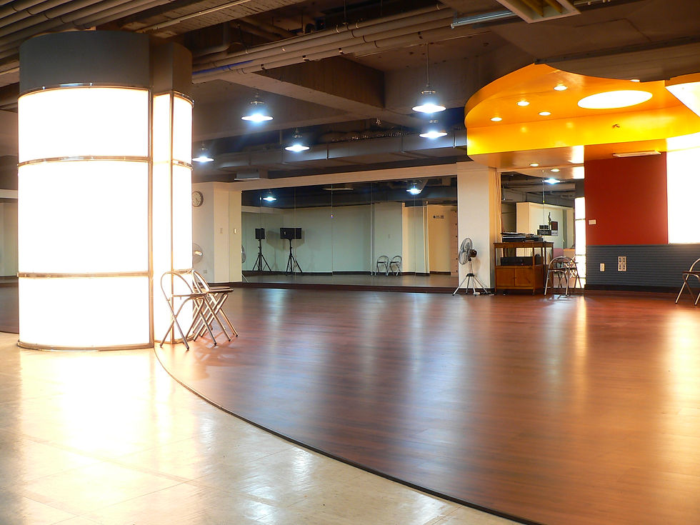 TX Large Studio