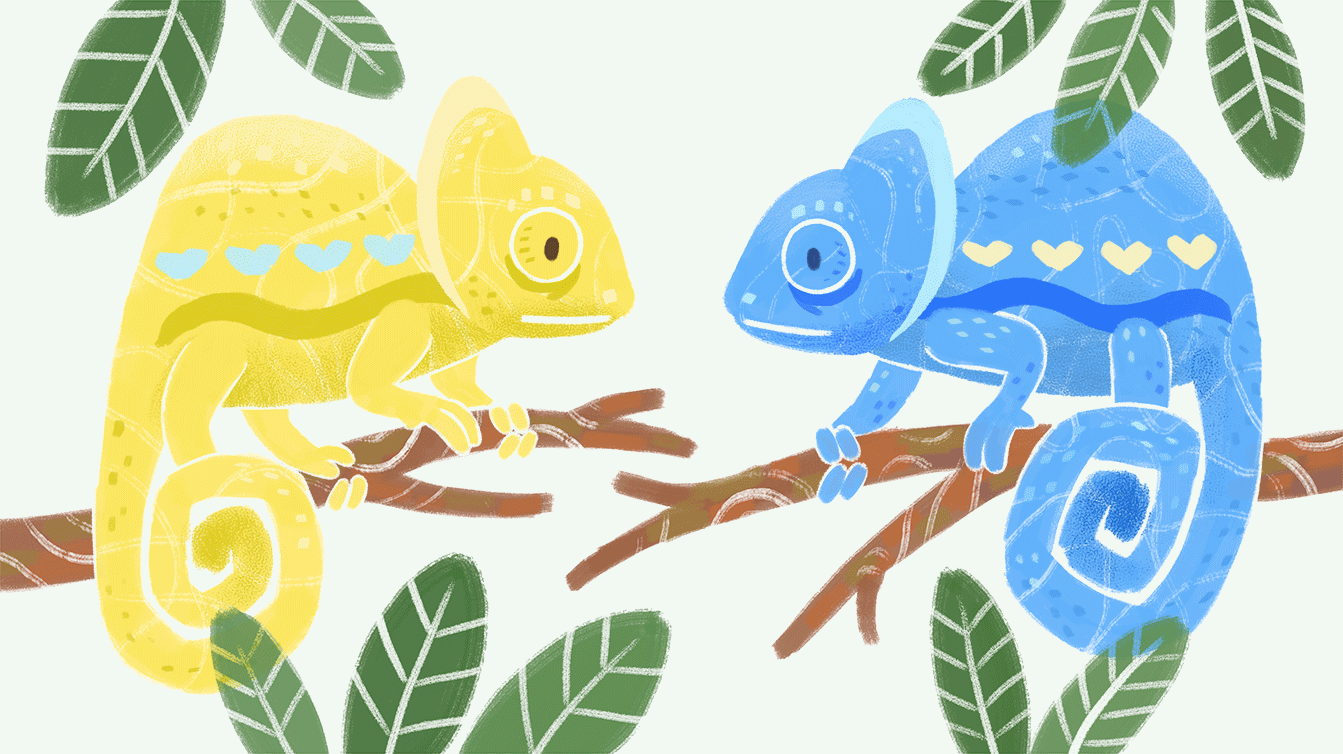 chameleon-11