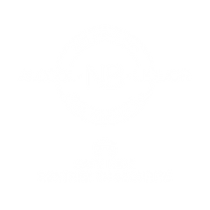 SafeRide-Logo-BIL-WHITElogo.png