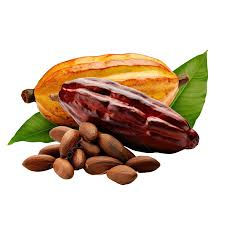 Cacao lb