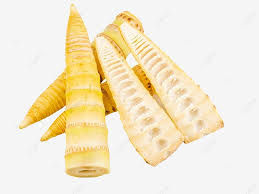 Bamboo Shoot lb