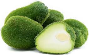 Chayote Prickly lb