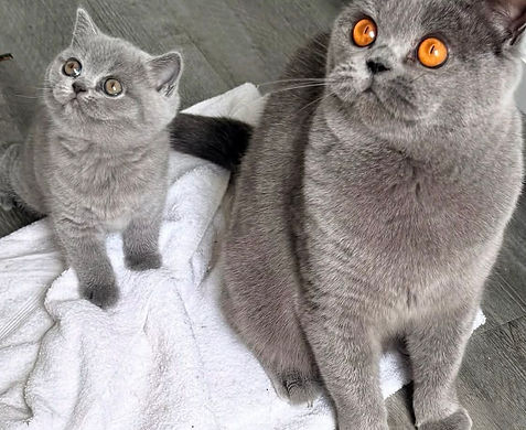 pixie with baby.jpeg