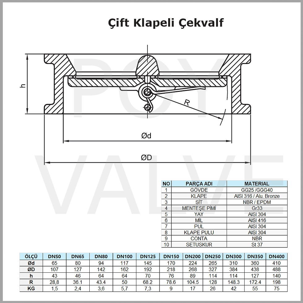 Küçük resim: Dual Ceck Valve Technical
