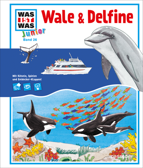 Wale Delfine whale dolphin dauphin baleine Meeressäuger Meerestiere