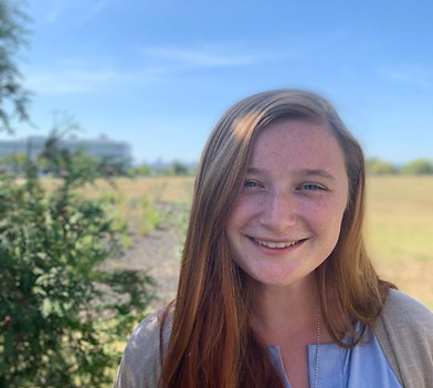 Dunnock website image.jpg