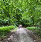 IMG_3437.jpeg