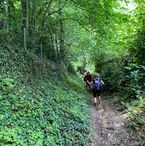IMG_3424.jpeg