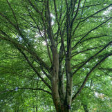 IMG_4047.jpeg