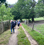 IMG_3418.jpeg