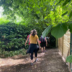 IMG_3421.jpeg