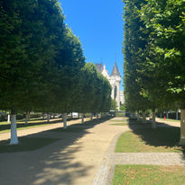 IMG_3758.jpeg