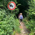 IMG_3423.jpeg