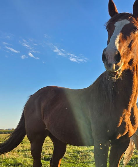 EIS Supper Time_edited.jpg