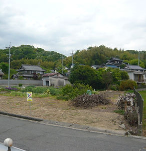 P1100181.JPG
