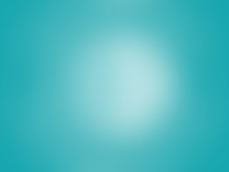 TÜRK DEVLETLERİ TEŞKİLATI ...