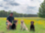 Scooter Kello_West Wind Retrievers.jpg