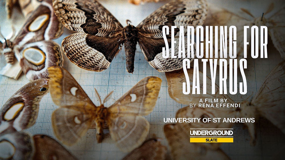 Searching for Satyrus -University of St Andrews - Screening with Q&A