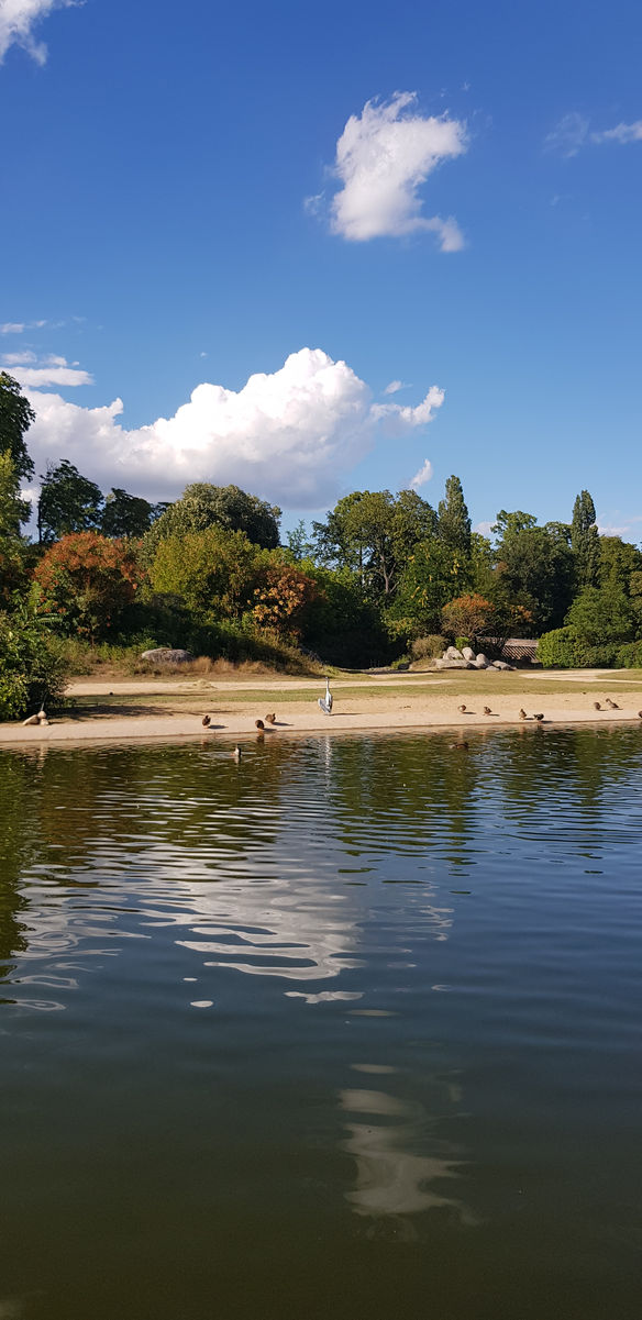 Le Parc de la Tête d'Or : un endroit à visiter à Lyon