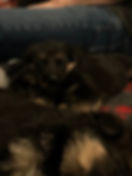 IMG_4574.jpeg
