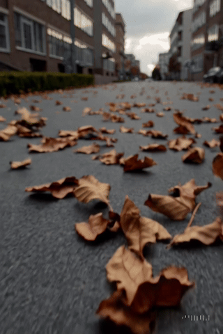 20251212_1045_New Video_storyboard_01kc9y2xrhedz9fg0fn3pr059a.gif