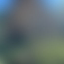 Smitty, Who Died in His Car Somewhere in Arizona