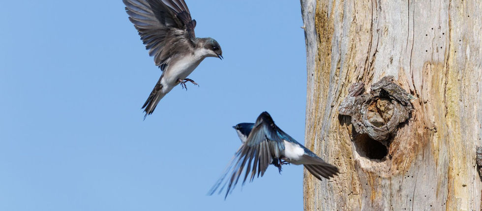 Twenty-Seven Startups Just Swallowed One-Third of All VC