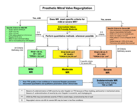 GUÍAS PARA LA EVALUACIÓN DE LA FUNCIÓN DE VÁLVULAS PROTÉSICAS CON IMAGENES CARDIOVASCULARES. ASE 2024. TERCERA PARTE.