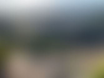 ゼミで今取り組んでいる活動の話。