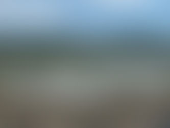 大学生だからこそはみだしてなじめ