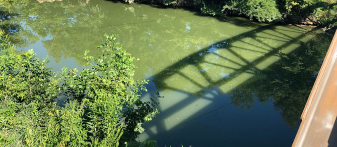 Riley's deep, dark, dangerous secrets