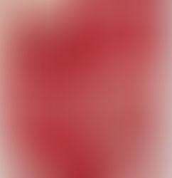 The origin of the Bluffton HS crest