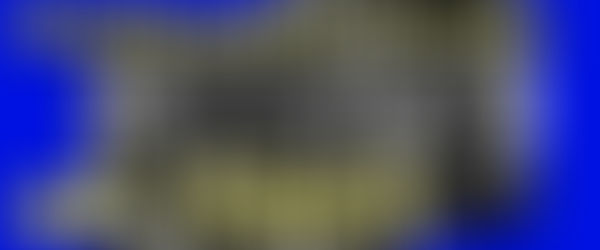 Meet Bluffton Boys Scouts of 1941