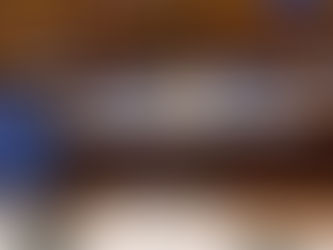 PPL visant à faciliter la mise en oeuvre des objectifs de ZAN