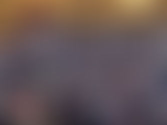 Présence de Yannick Morez au Sénat