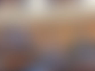 Allocution du Président du parlement ukrainien au Sénat