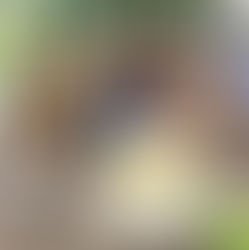 Double celebration for Dr. Nyasha Dzavakwa