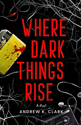 Cover image of Where Dark Things Rise