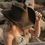 Thumbnail: Women's Hollywood Cowboy Hat