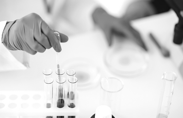 Proefbuizen afbeeldingen bij het item 'structuur' op de homepage van nmscResearch.png