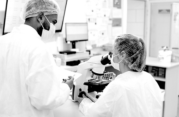 Microscoop 6 - vrouw.png