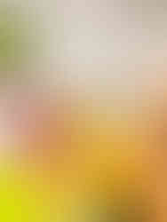 Nog meer fruit en smoothies in het NMSC n.a.v. de Dag van de Duurzame Verplaatsing