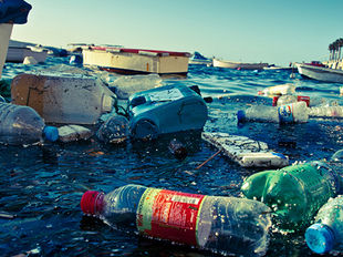 Reaksi Danone AQUA Diminta Sungai Watch Berhenti Produksi Air Minum Kemasan Gelas yang Cemari Sungai-Sungai di Bali