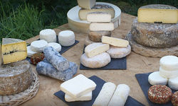 fromages