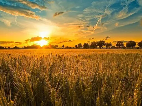Why You NEED to Buy Land in Argentina