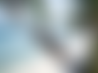 Puedo ser turista perpetuo y no tributar en ningún lado? 